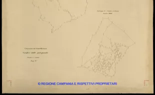 Grafico delle Poligonali