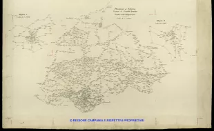 Grafico delle Poligonali