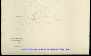 Grafico delle Poligonali