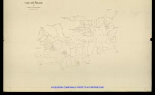 Grafico delle Poligonali