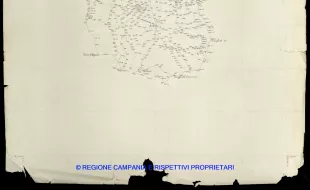 Grafico delle Poligonali
