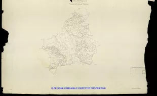 Grafico delle Poligonali