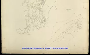 Grafico delle Poligonali