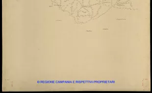 Grafico delle Poligonali