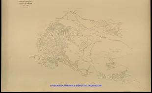 Grafico delle Poligonali