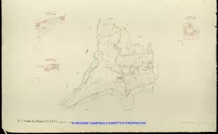 Grafico delle Poligonali