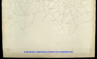 Grafico delle Poligonali