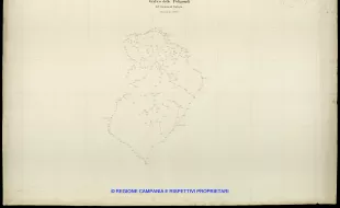 Grafico delle Poligonali