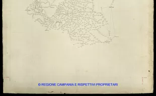 Grafico delle Poligonali