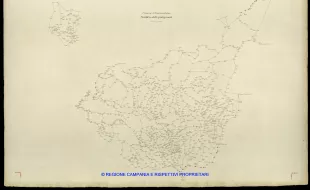 Grafico delle Poligonali