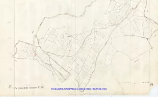 Allegati