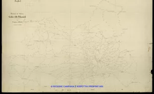 Grafico delle Poligonali