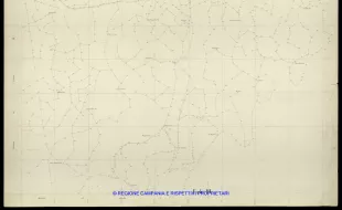 Grafico delle Poligonali