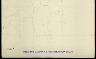 Grafico delle Poligonali