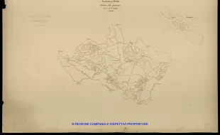 Grafico delle Poligonali