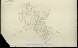 Grafico delle Poligonali