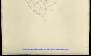 Grafico delle Poligonali