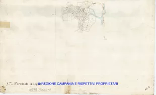 Allegati