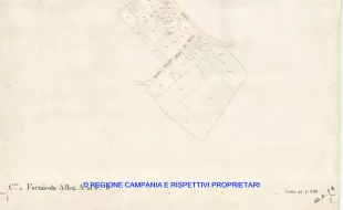 Allegati
