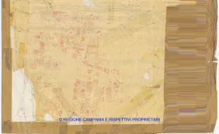 Allegati