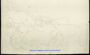 Grafico delle Poligonali