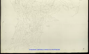 Grafico delle Poligonali