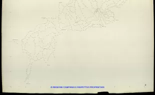 Grafico delle Poligonali