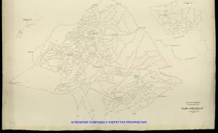 Grafico delle Poligonali