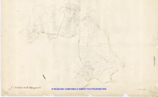Allegati
