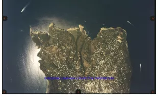 Isola di Capri