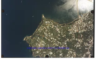 Isola di Procida