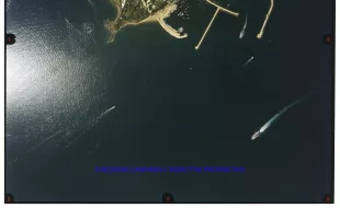 Isola di Procida