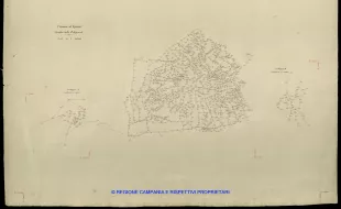 Grafico delle Poligonali
