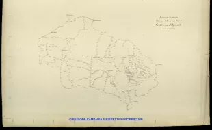 Grafico delle Poligonali