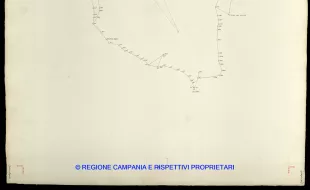 Grafico delle Poligonali