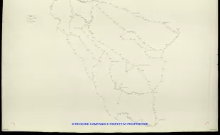 Grafico delle Poligonali