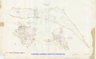 Allegati