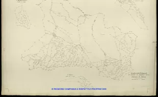 Grafico delle Poligonali