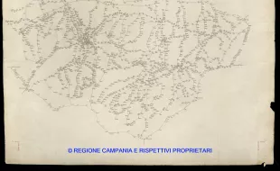 Grafico delle Poligonali