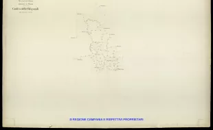 Grafico delle Poligonali