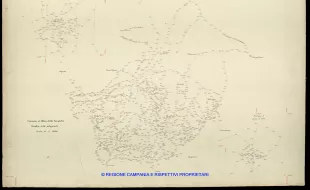 Grafico delle Poligonali