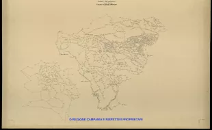 Grafico delle Poligonali