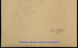 Grafico delle Poligonali