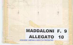 Allegati
