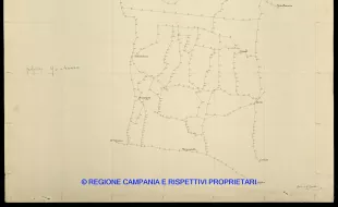 Grafico delle Poligonali
