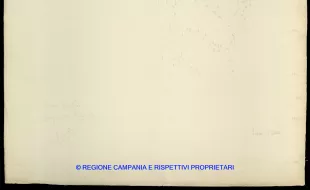 Grafico delle Poligonali
