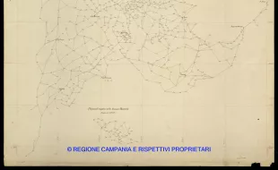 Grafico delle Poligonali