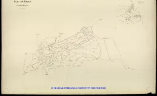 Grafico delle Poligonali