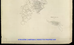 Grafico delle Poligonali