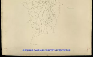 Grafico delle Poligonali